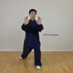 Impostazione del corpo nel Tai Chi Chuan Tradizionale della Famiglia Yang - 2° Parte 11