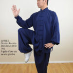 Impostazione del corpo nel Tai Chi Chuan Tradizionale della Famiglia Yang - 2° Parte 7