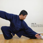 Impostazione del corpo nel Tai Chi Chuan Tradizionale della Famiglia Yang - 2° Parte 9