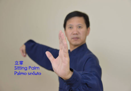 Tecniche di Mano nel Tai Chi Chuan Tradizionale della Famiglia Yang 20