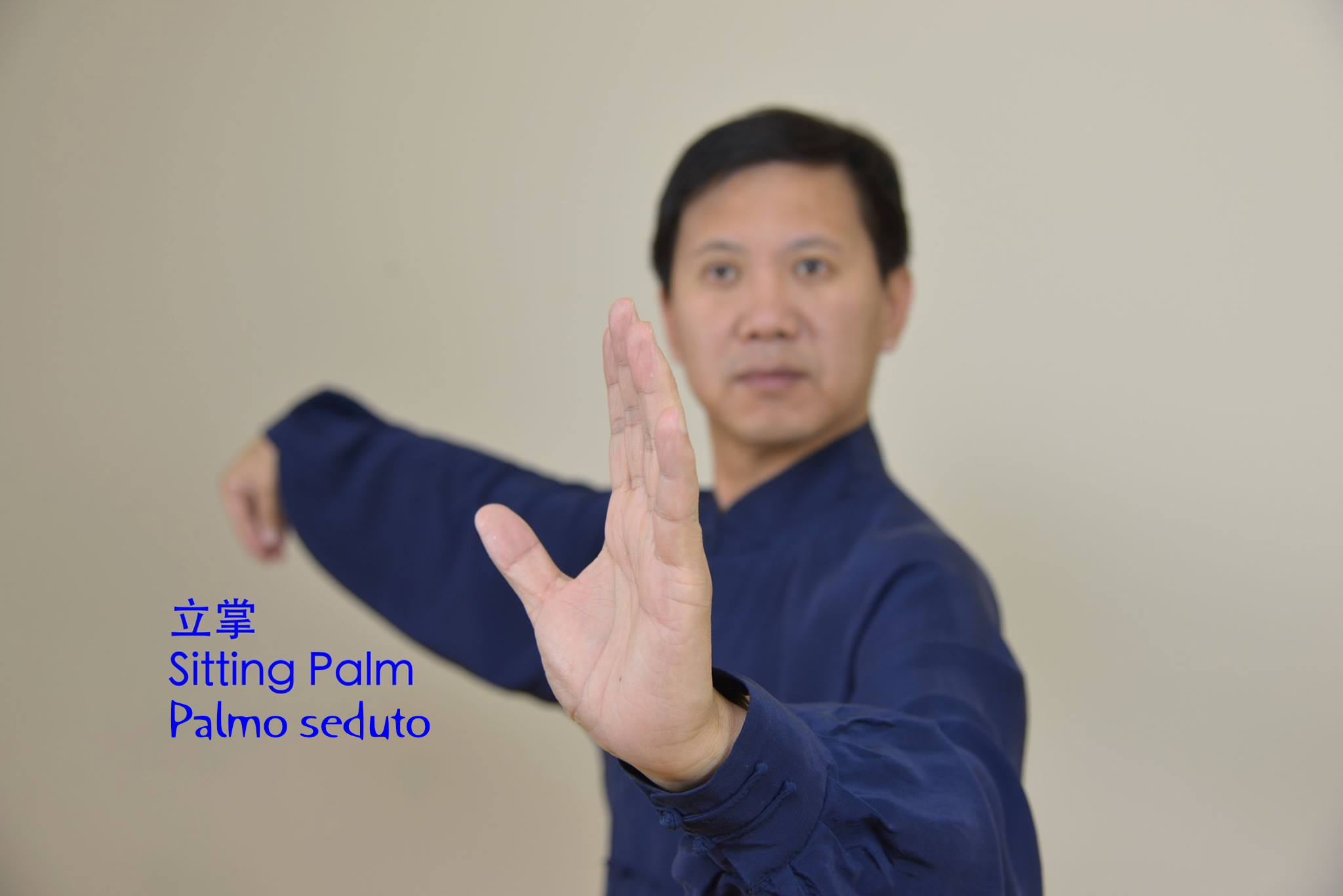 Tecniche di Mano nel Tai Chi Chuan Tradizionale della Famiglia Yang 1