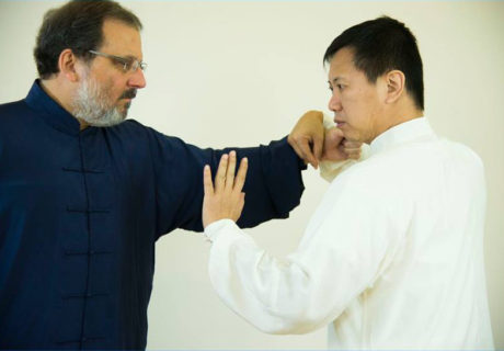 "Impostazione della Mano" e "Metodo della Mano" nel Tai Chi Chuan Tradizionale della Famiglia Yang 14