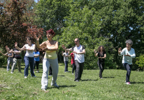 Il Tai Chi Chuan può migliorare la salute del cervello e il recupero muscolare 9