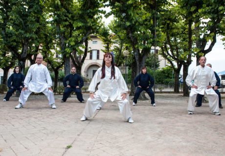 Secondo l'Università di Oxford, gli anziani che praticano Tai Chi Chuan riducono di un quinto il rischio di cadute 5